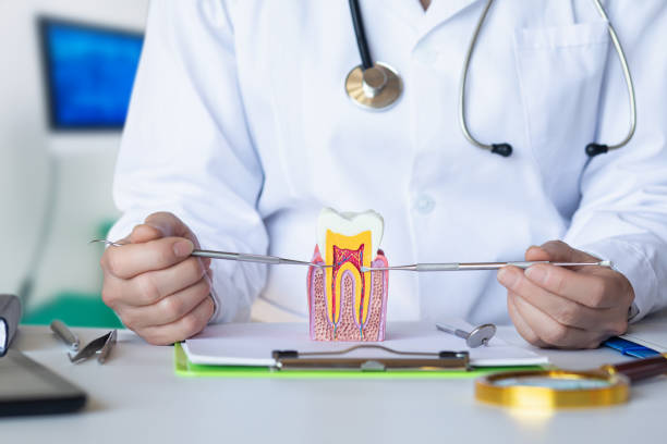 Best Emergency Root Canal Therapy in Coeburn, VA